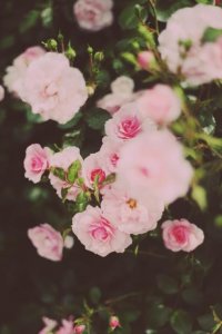 ​描写冬天早晨太阳的优美句子（关于描写早晨的句子）