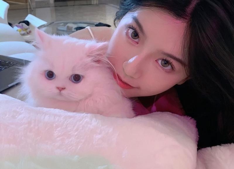 学生最好的座右铭大全(小学生人生格言座右铭)