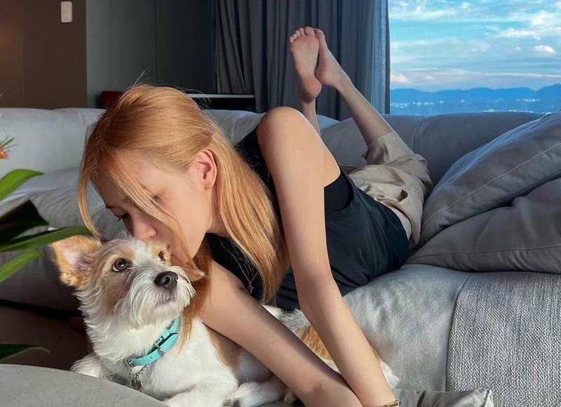 励志八个字的座右铭(励志的座右铭文案)