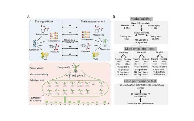 关于学习的座右铭