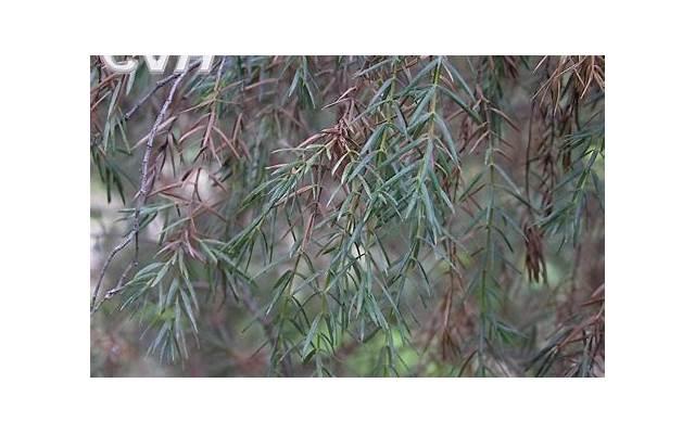 励志座右铭简短八个字图片