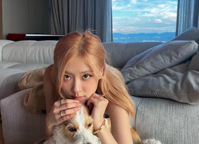 幼儿教师座右铭(精选322句) 幼儿教师座右铭(精选322句)