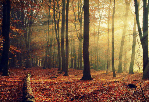 1702241093222728.png image.png