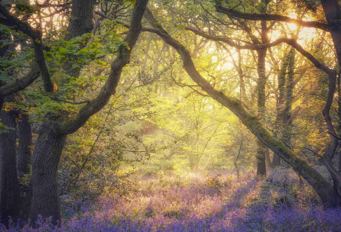 1702362759547944.png image.png