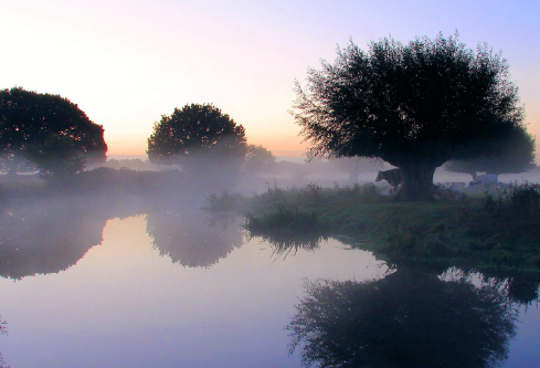 1702365410377087.png image.png