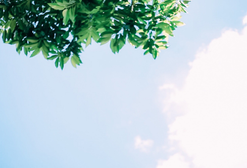 1702361102781087.png image.png