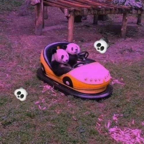 暖心简短早安语录