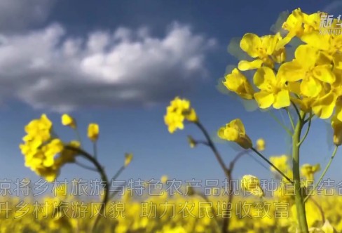 1710281141719147.png image.png