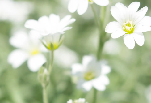 1702403505513164.png image.png