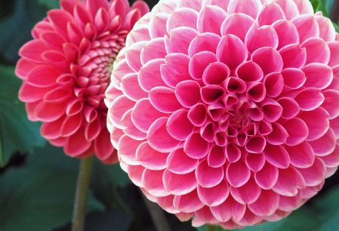 1710974014842321.png image.png