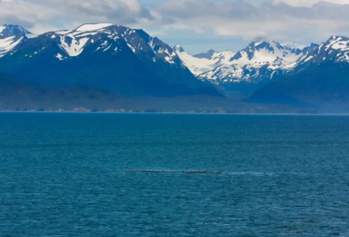 1711049055658751.png image.png