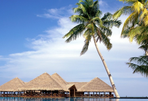 1711051880156798.png image.png