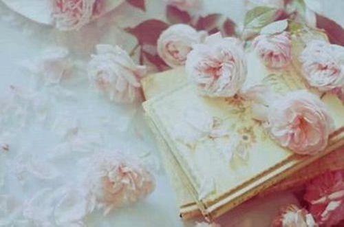 关于爱情和情感的经典句子