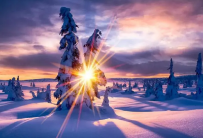 ​工作座右铭励志（精选推荐）