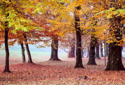 ​男人励志说说心情短语 说说大全经典说说