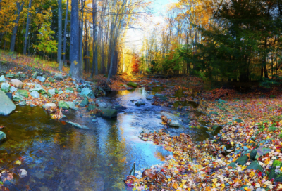 ​拿到房产证的心情短语精选40条