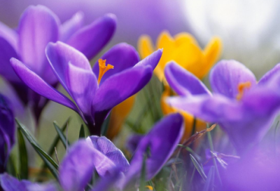 ​关于励志说说心情(心情语录励志)