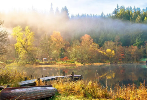 1702281162133351.png image.png