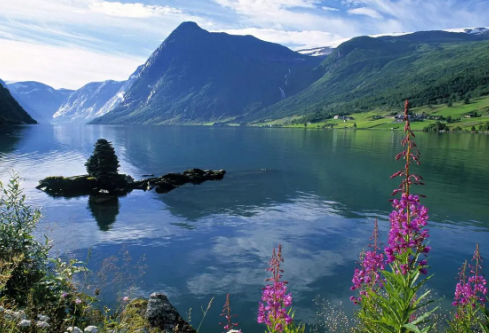 1711003184140034.png image.png