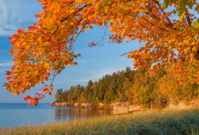 ​关于花的唯美意境句子 花快开的心情唯美句子