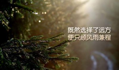 ​冬天第一场雪文案句子大全(精选99句)