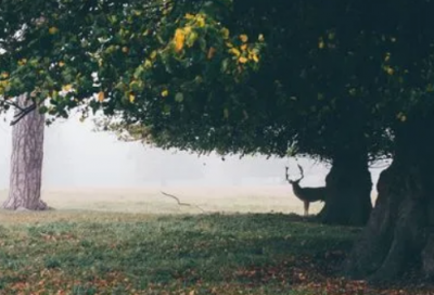 ​关于心情不好的说说文案（精选）