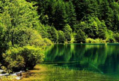 ​手机没电的心情的句子（精选）