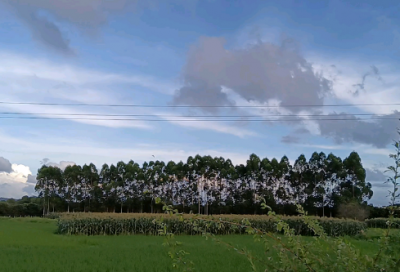 ​让你不再迷茫的励志语录 关于激励迷茫期的你的句子