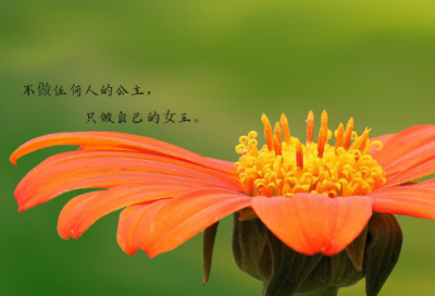 ​励志短语正 励志短语正能量四字