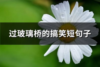 ​过玻璃桥的搞笑短句子(50句)