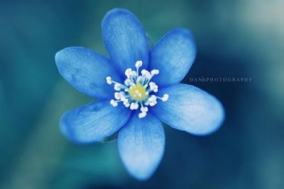 ​描写夜晚恐怖的句子（形容有名声的成语）