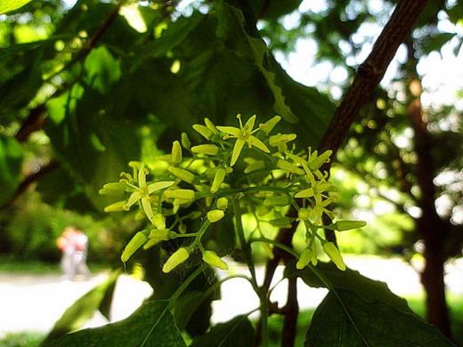 表达同事聚餐开心的句子