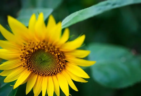 1711187559322862.png image.png