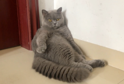 六月第一天的心情说说大全（六月第一天的心情短句）