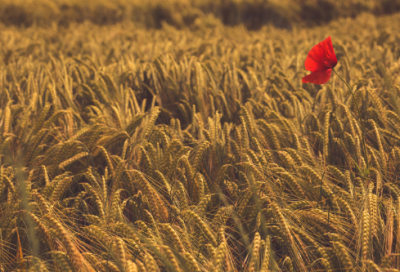 关于回家过年路上堵车心情 春节回家堵车感慨句子