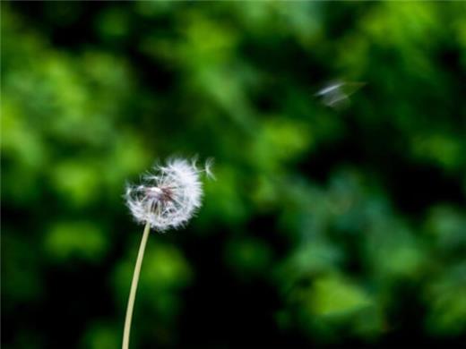 女人要好好爱自己短语