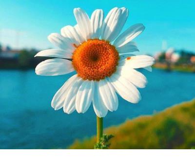 热搜榜520语录文案