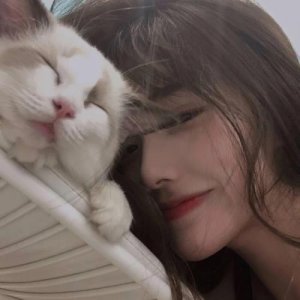 ​致自己心静的句子（看淡一切善待自己）