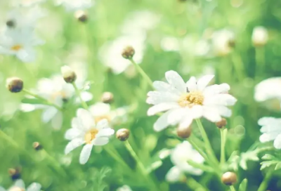 ​关于心情不好的说说发朋友圈说说（精选）