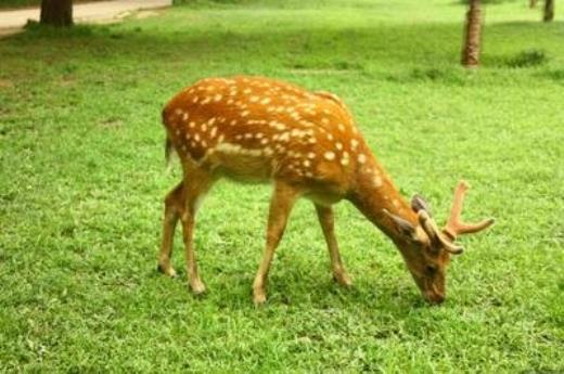 关于安全的优美语段