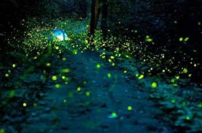 ​微信朋友圈晚安说说大全