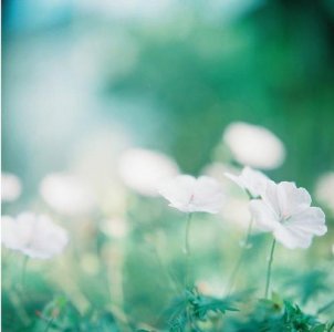 ​雨夜听雨唯美句子（雪的说说伤感句子）