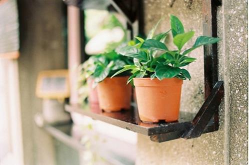 生病了发朋友圈的幽默