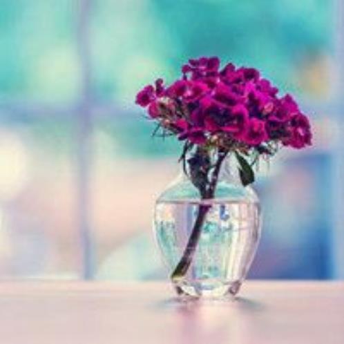 生病了发朋友圈的幽默