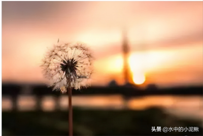 ​表达沉默唯美句子 用沉默代替一切