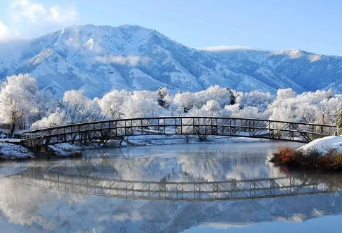 1711123230785864.png image.png