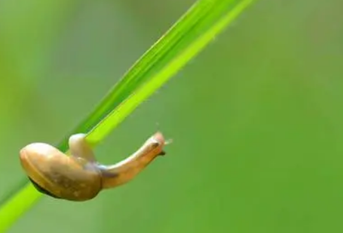 1708293260517170.png image.png