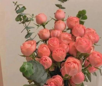 ​个信签名伤感句子青春