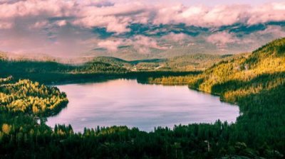 伤感的感情句子语录(精选82句)