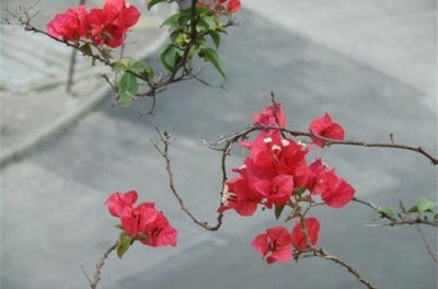 高中生毕业伤感句子